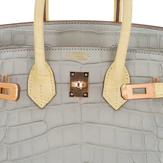 Special Order Birkin 25 Bag